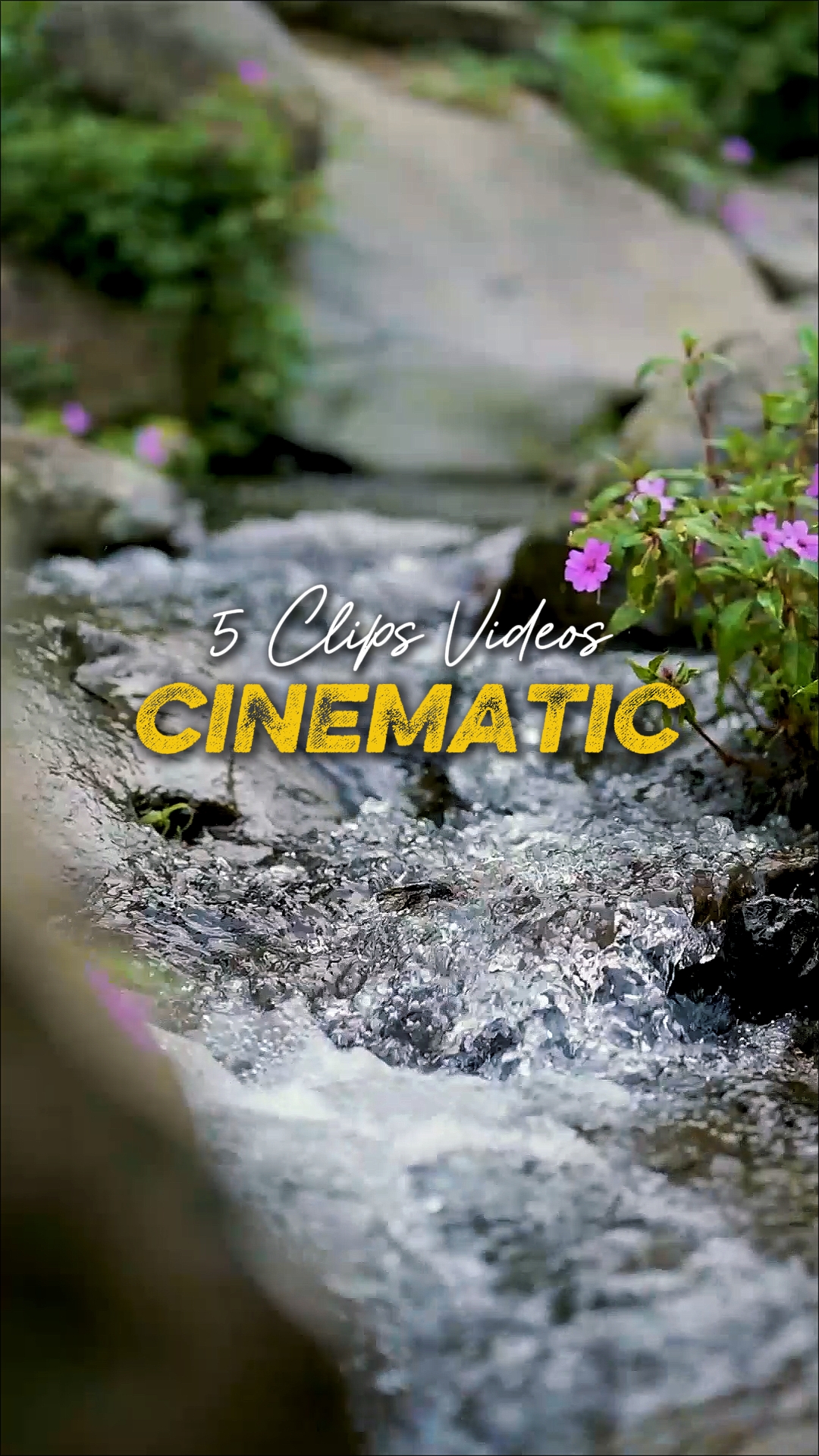 Cinematic 6 Videos