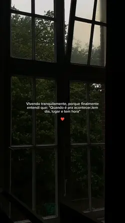 Reflexão da vida 