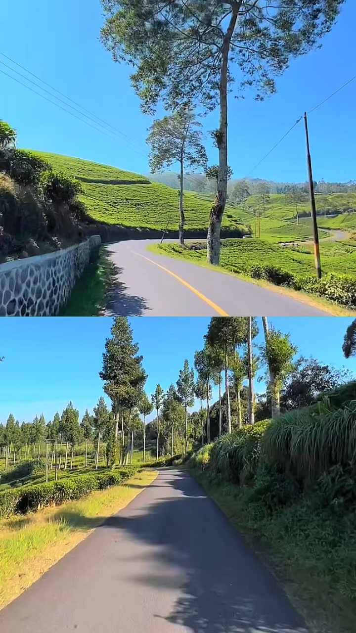 2 layout ng video 1