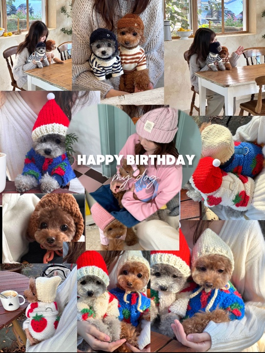 Hpbd My Dog