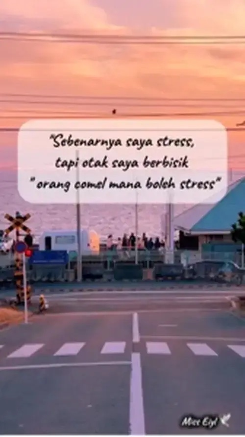 Cerita | Kutipan