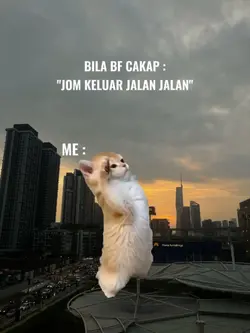Kucing Askar
