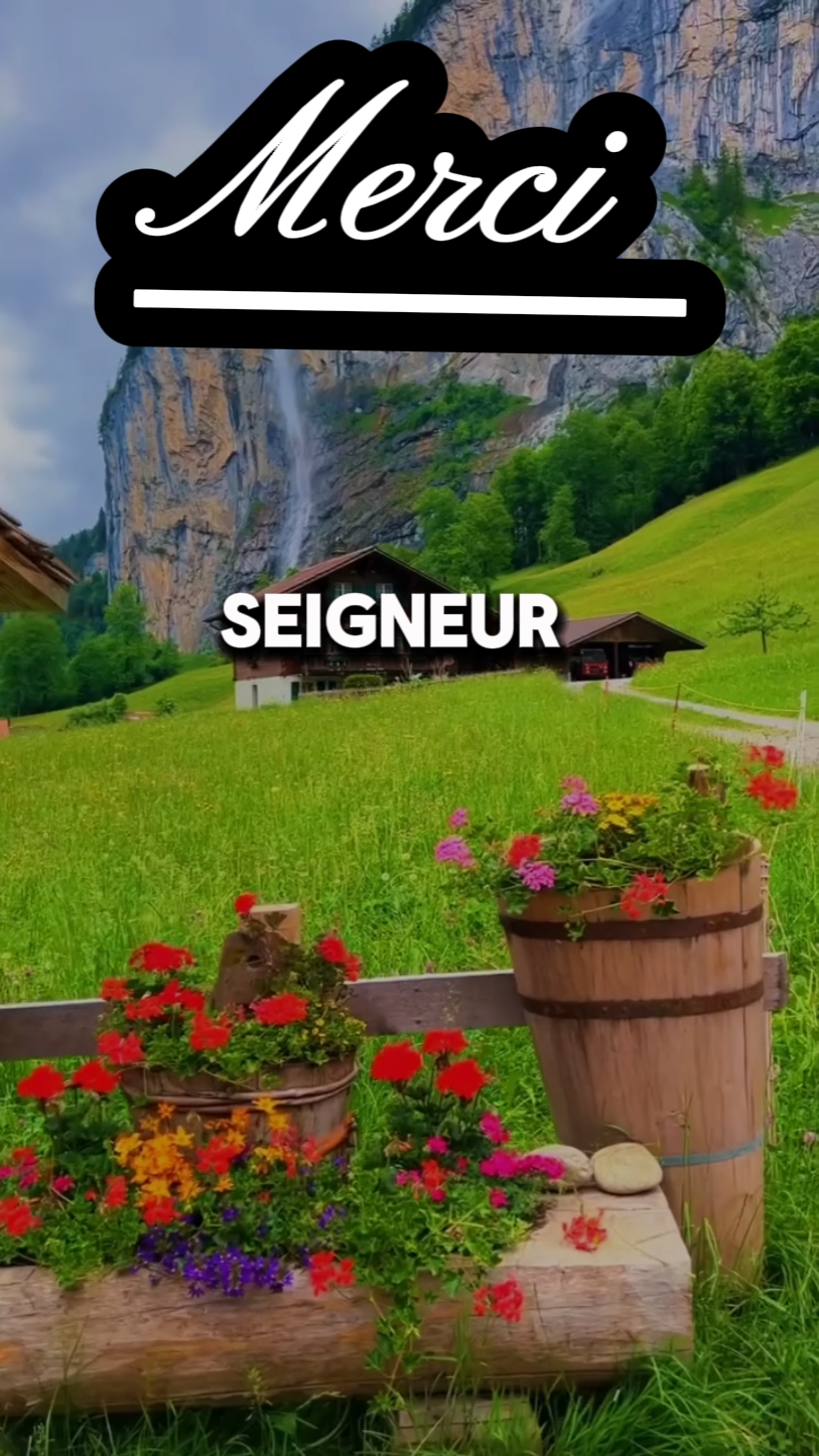 merci