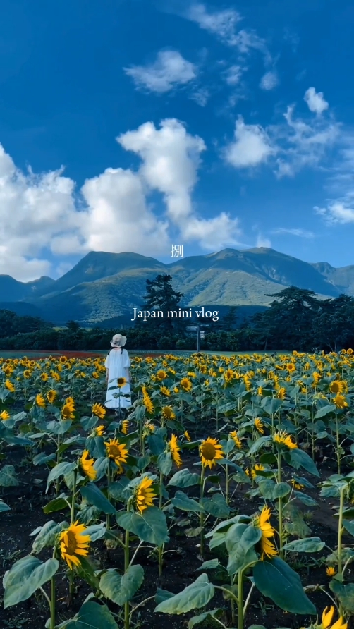 vlog mini jepang 