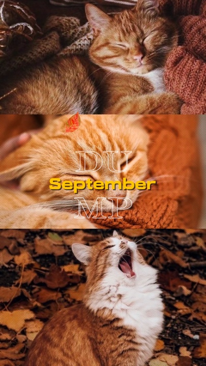 September dump