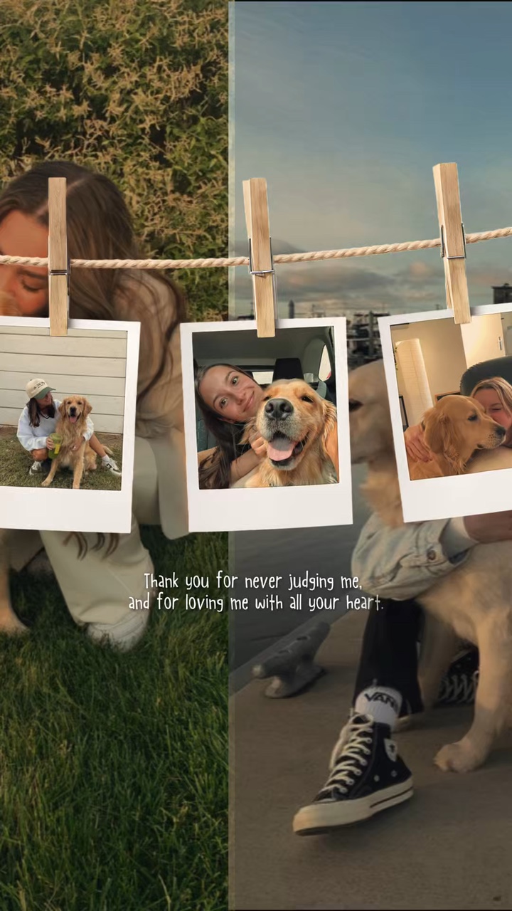 Eu amo meu cachorro