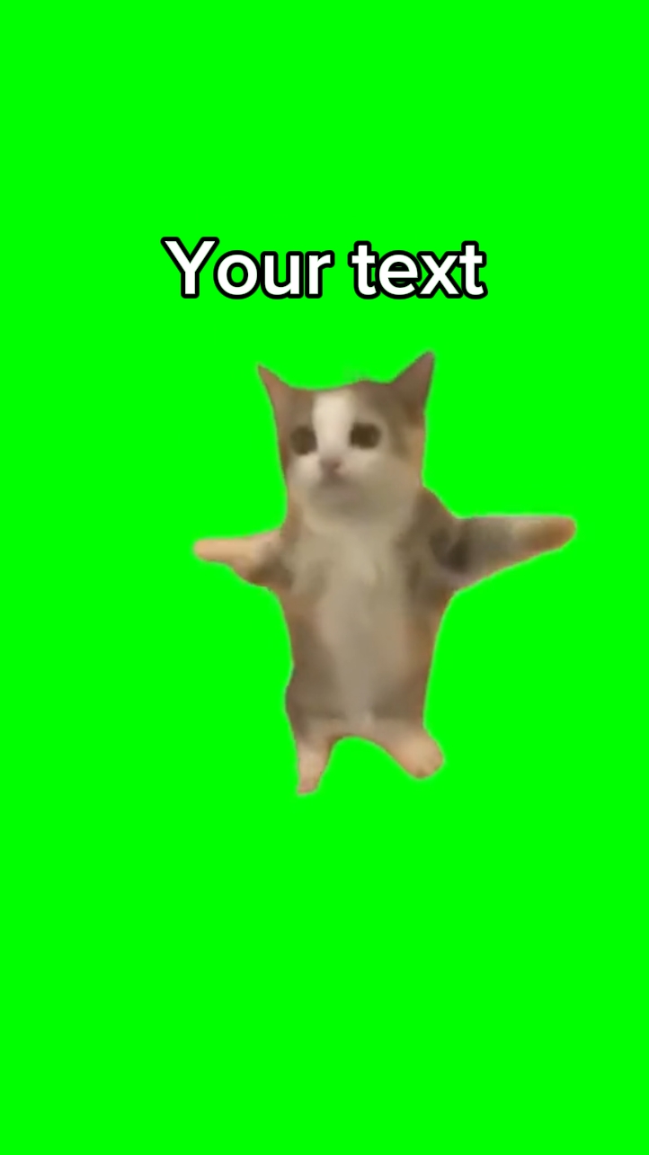 Feliz - meme prt11