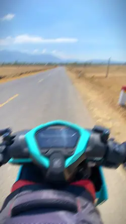 Mẫu 21 video+màu