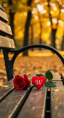 WASIM WRITES 