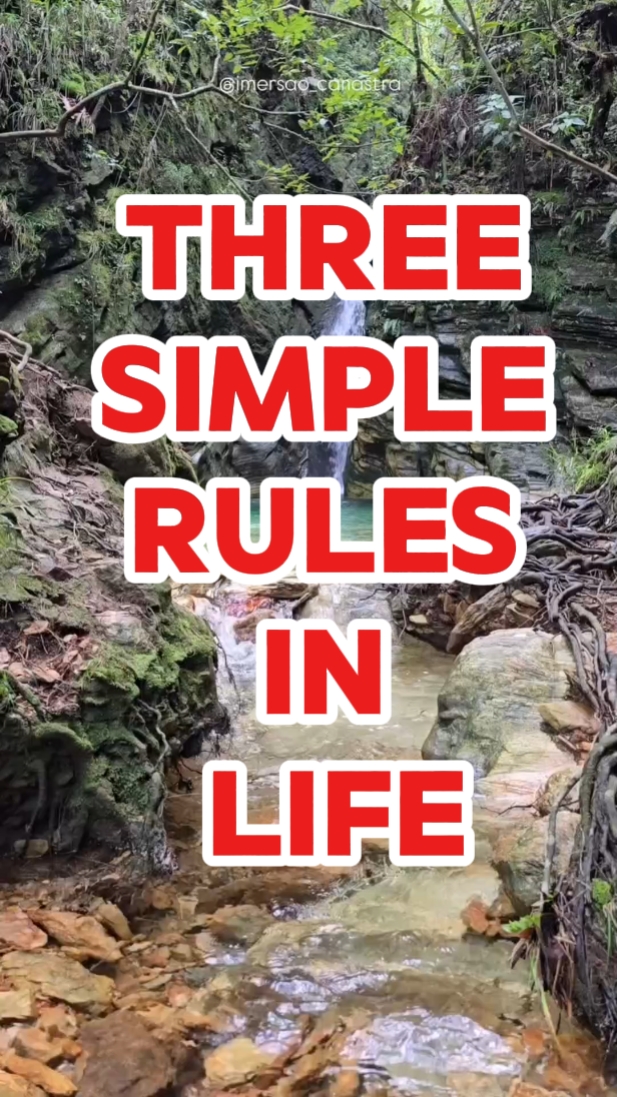 Rules in Life