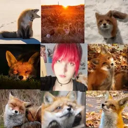 Foxes