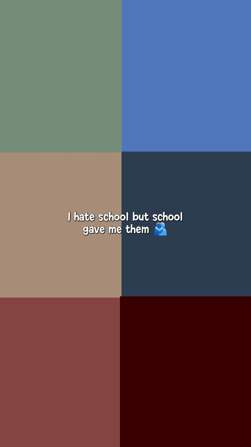 school gave me them