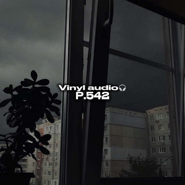 Vinyl audio p.542🎧