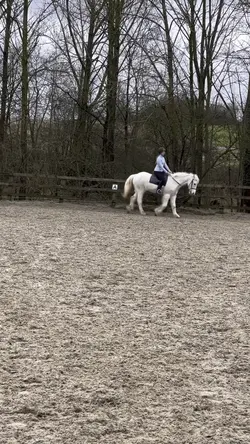 Slo mo template