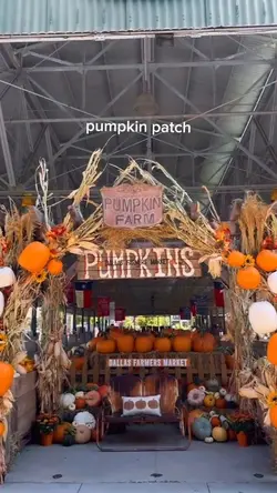 Pumpkin patch