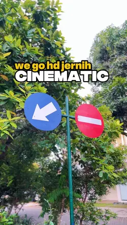 WE GO CINEMATIC
