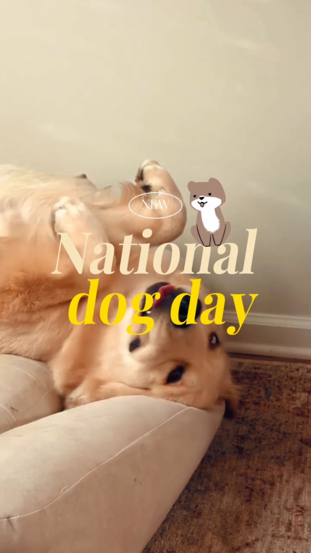dog day
