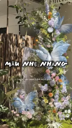 Mẫu nhẹ nhàng