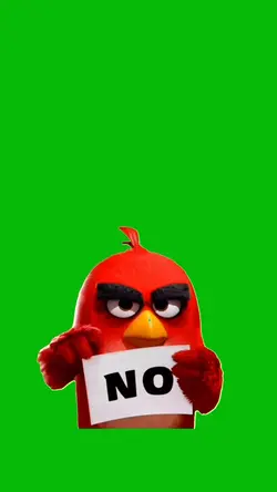 Angry Bird No