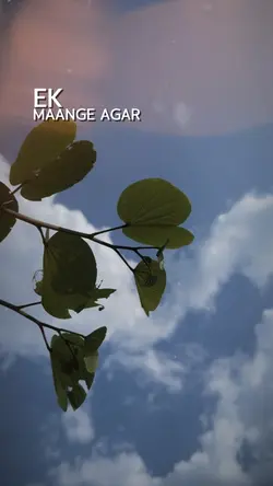 Ek mange aagar 