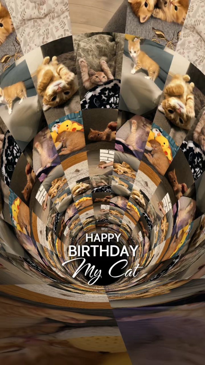Cumpleaños mi gato