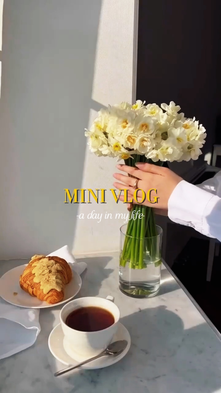 Mini vlog