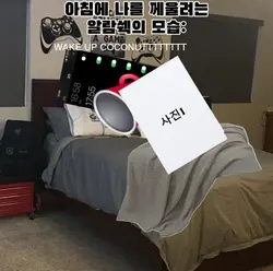 알람 쉑