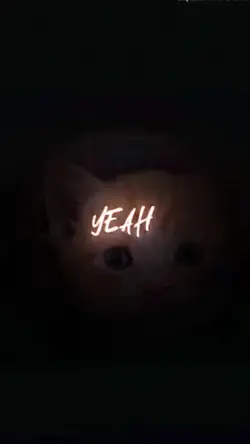 TRENDING TOP EDIT