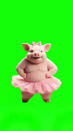 Hey Macarena Pig