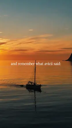 Avicii Said