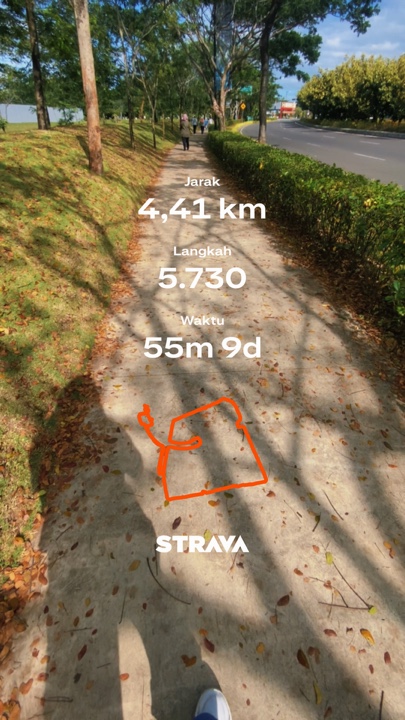 Strava-Trend