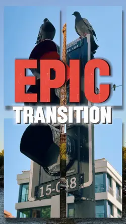 Epic transition