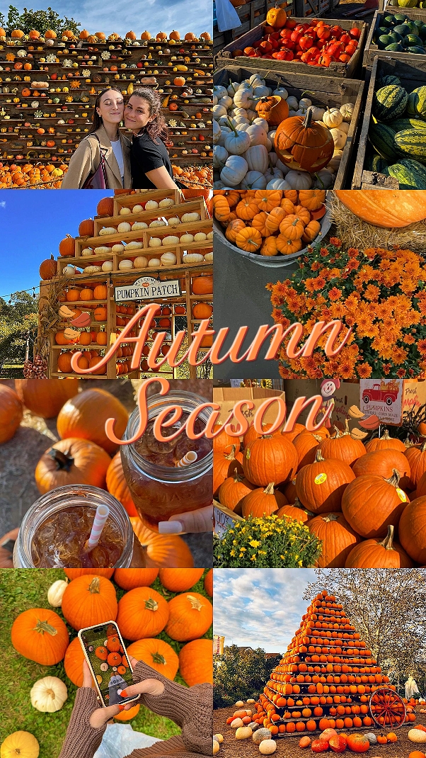 Vibraciones de la temporada de otoño