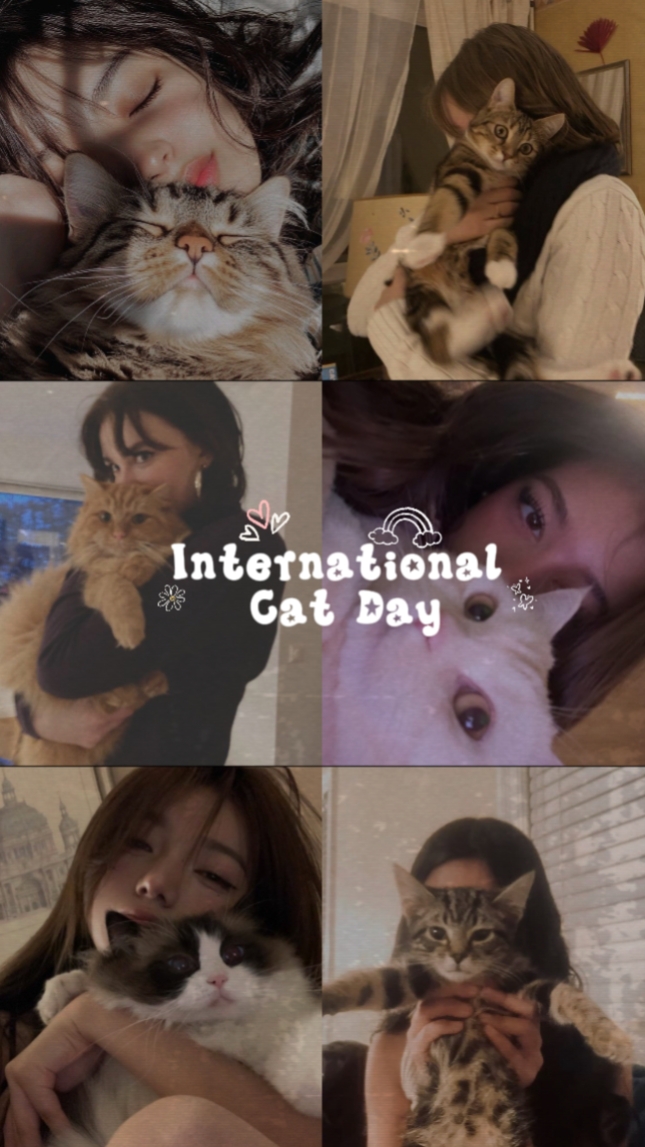 Cat day