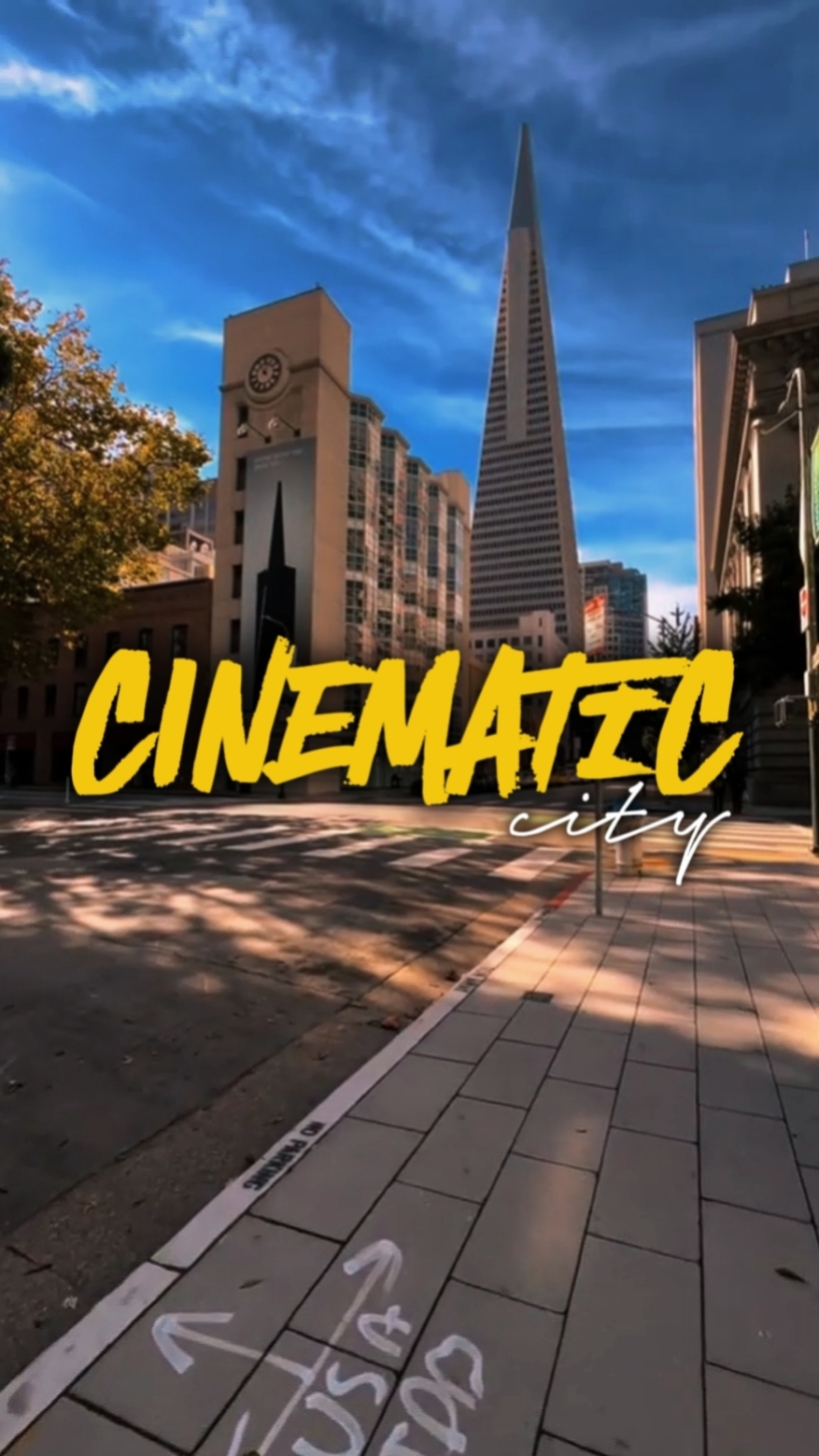 CINEMATIC CITY 