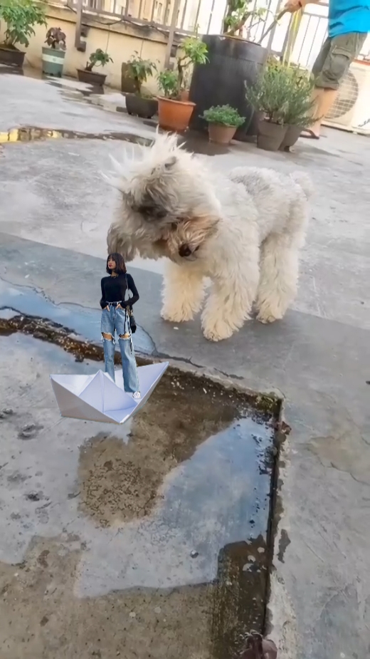 cute dog