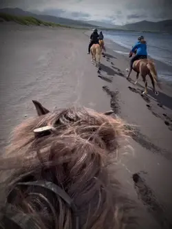 Slowmo iceland beach