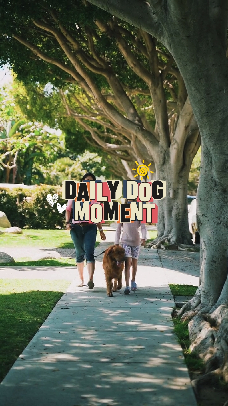 DAILY DOG MOMENT