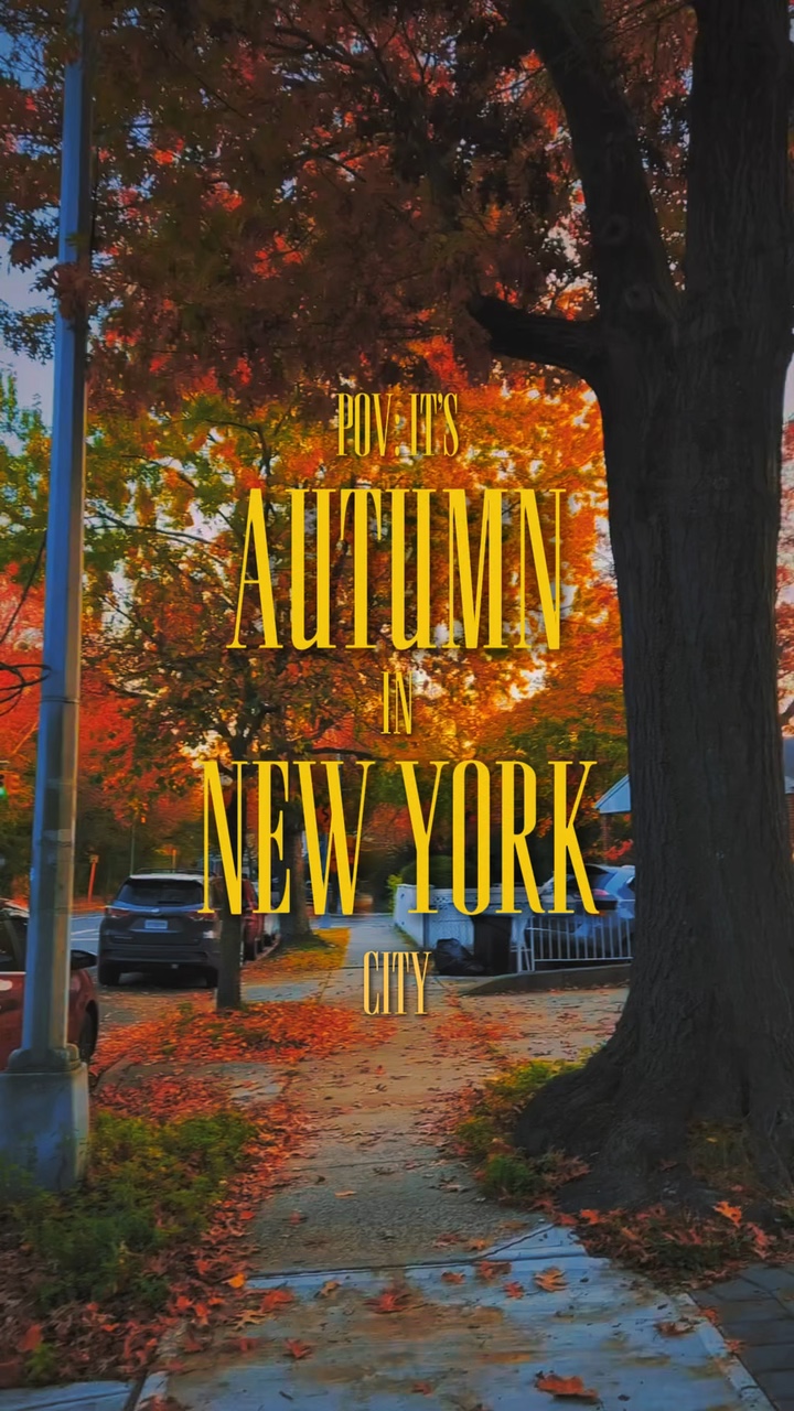 Autumn vibe