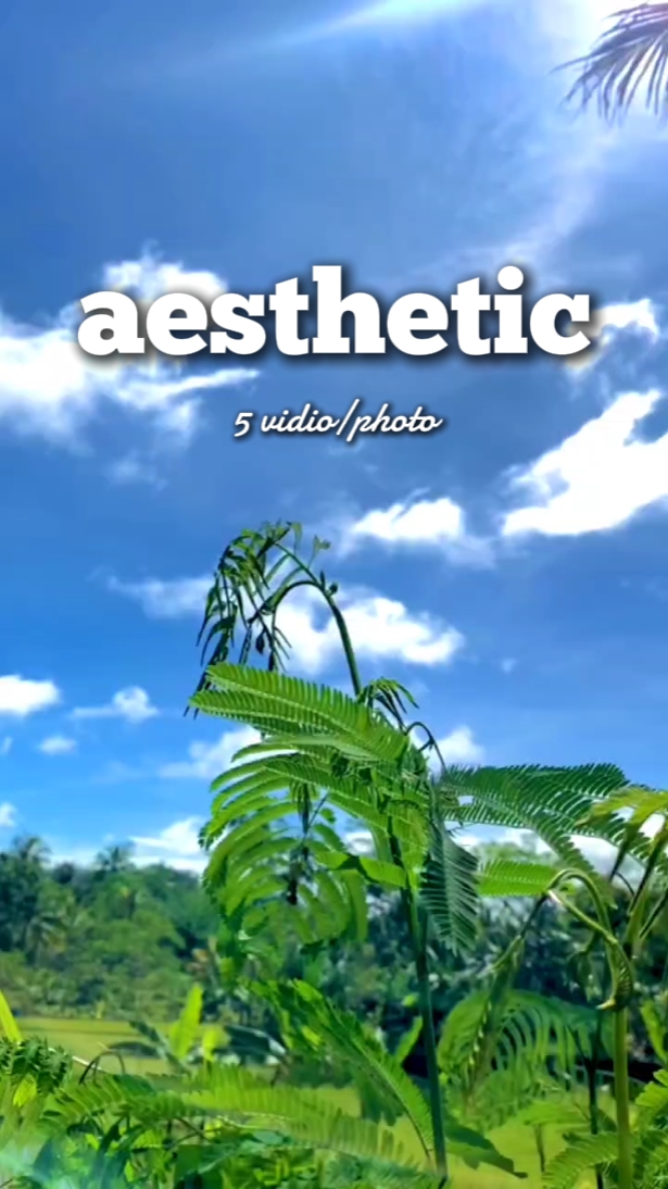 5 vidio aesthetic