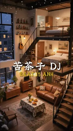 苦茶子 DJ