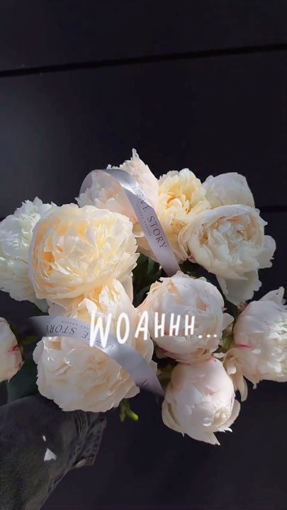 Whoaaa sí wow