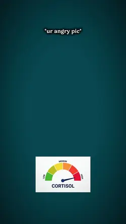 Cortisol trend