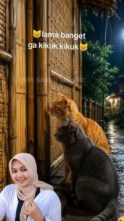 trend kucing lucu 