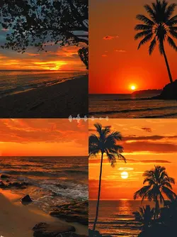 Trend 4 foto sunset