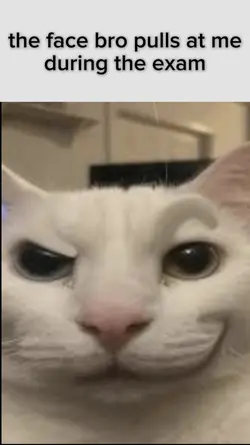 Goofy cat meme