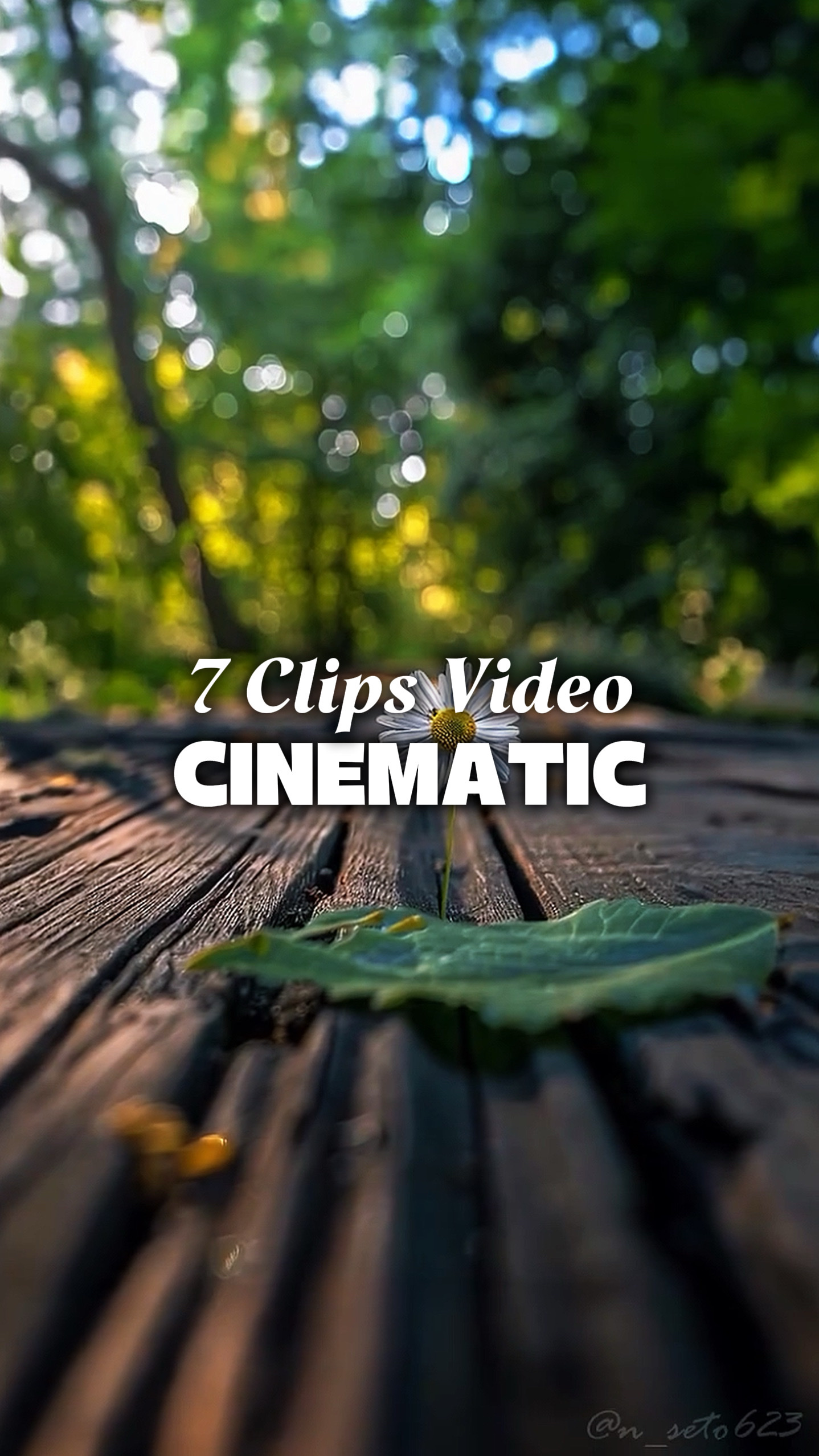 7 Videos Cinematic 