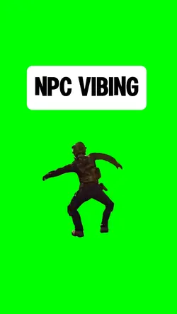 NPC VIBING