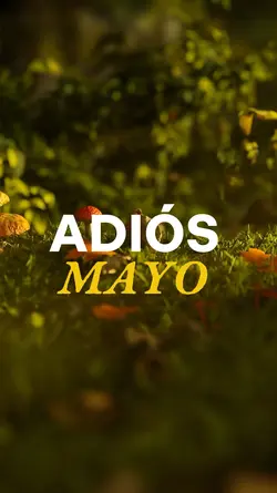 Momentos mayo