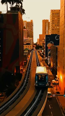 5 video clips